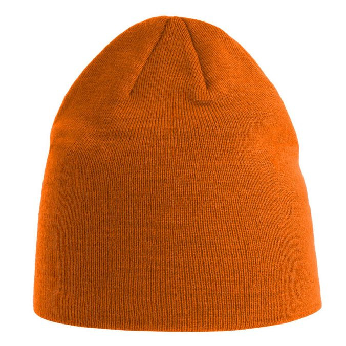 HOLLY
