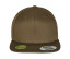 ORGANIC COTTON SNAPBACK